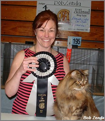 HRH Princess Lizzie - Best HHPet